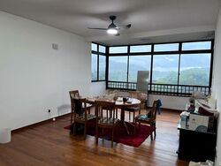 Bukit Timah Plaza / Sherwood Towers (D21), Apartment #458373261